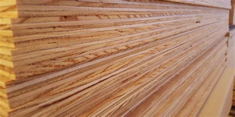 Brazilian Pine Plywood Wood Panels Hanson Plywood