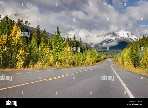 Icefields Parkway Highway 93 Near Rampart Creek Banff National Park