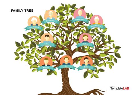 Family Tree Template Family Tree Template High Resolution - Vrogue