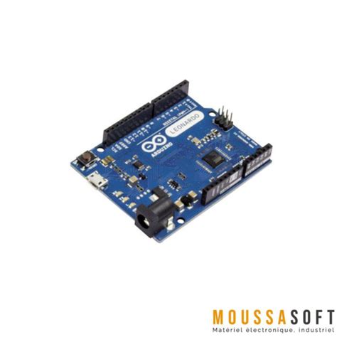 Arduino Leonardo Avec Cable Usb Maroc Moussasoft