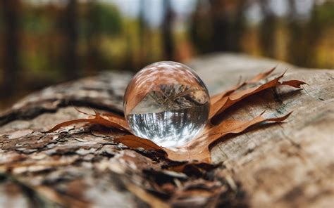 Download Wallpaper 3840x2400 Crystal Ball Ball Leaf Reflection
