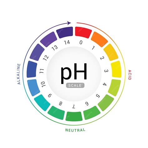 Premium Vector Ph Scale Indicator Chart Diagram Acidic Alkaline