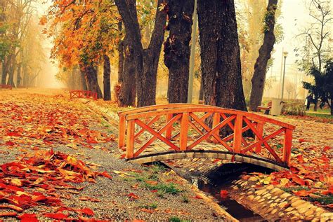 Autumn Bridge And Trees Wallpapers Wallpaper Cave