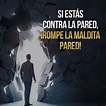 Si estás contra la pared, ¡rompe la maldita pared! - Frases