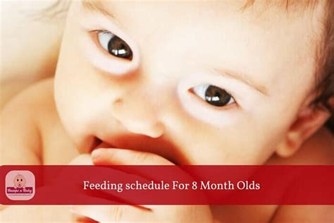 May 21, 2016 at 9:36 am. The post gives a sample food chart for 8 month old babies ...