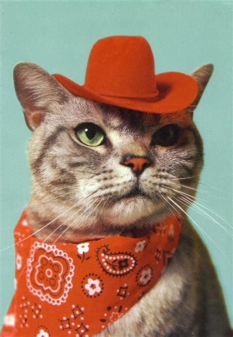 Cowboy Kitty Cat Clothes Pet Costumes Cat Day