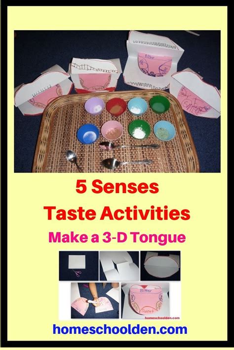 Five Senses Unit Hands On Activities About The Sense Of Taste Make Your Own 3 D Tongue Model