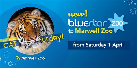 Our New Marwell Z00 Shuttle Bluestar