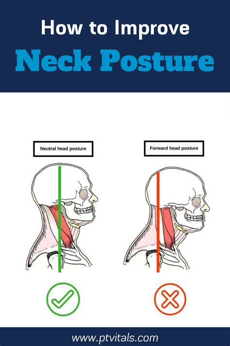 17 How To Improve Neck Posture How To Fix A Double Zipper That