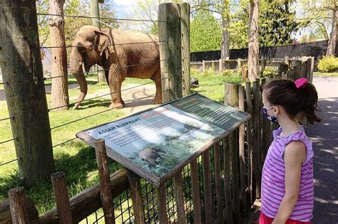 Buttonwood Park Zoo To Reopen In June