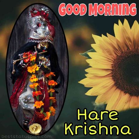 41 Shree Krishna Good Morning Images Hd Pics Photos Best Status Pics