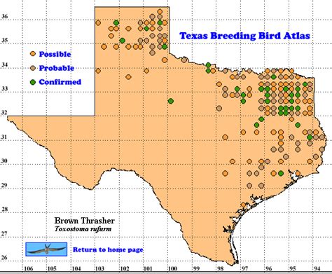 Brown Thrasher The Texas Breeding Bird Atlas