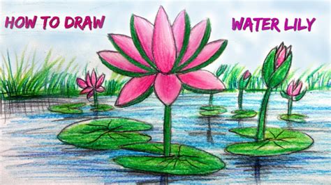 How To Draw Water Lily Step By Step Very Easy Youtube