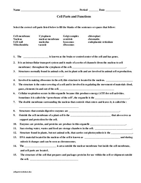Check spelling or type a new query. 14 Best Images of Cell Structure And Function Worksheet ...