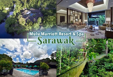Trouvez les meilleurs prix sur des centaines de sites et réservez votre hôtel sur tripadvisor grâce à 70 721 avis sur sarawak hôtels. A Luxurious Forest Adventure Lies at Mulu Marriott Resort ...
