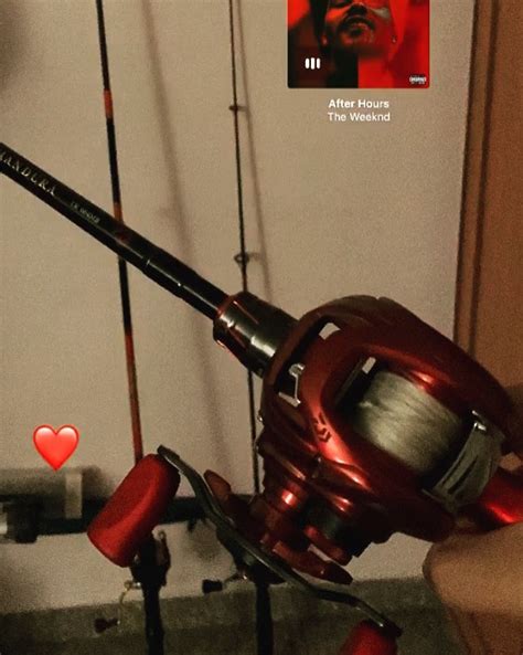 Daiwa Salamandura SV TW 103XHL Sports Equipment Fishing On Carousell