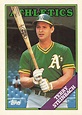 Terry Steinbach 1988 - 1980s Baseball