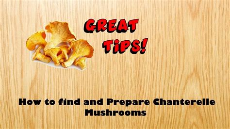 How To Find And Prepare Chanterelle Mushrooms Chef Tips Youtube