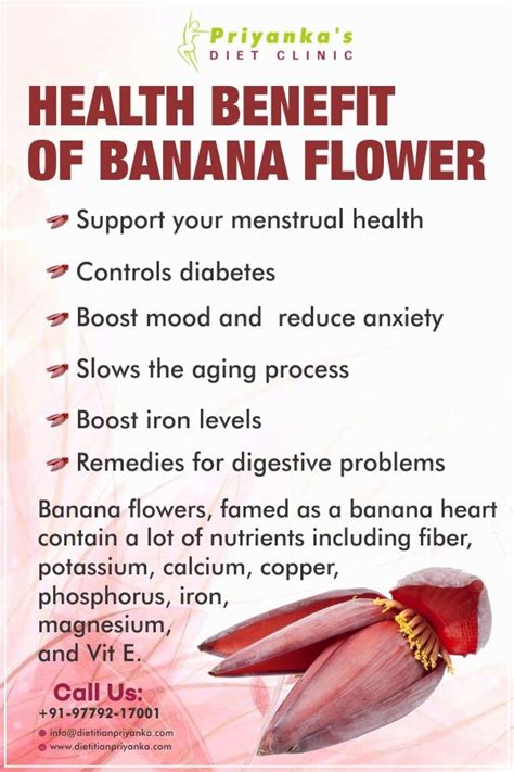 Health Benefits Of Banana Flower Banana Flower Banana Health