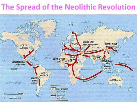 Ppt Ap World History How Did The Neolithic Revolution Lead To