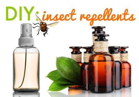 Homemade insect repellent can be easily made at the comfort of your home. DIY: Homemade Insect Repellent Sprays and Lotions | Insect repellent, Insect repellent spray ...