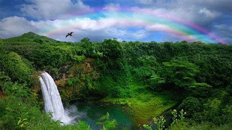 Rainbow Over Hawaiian Waterfall Hd Wallpaper Hintergrund 3200x1800