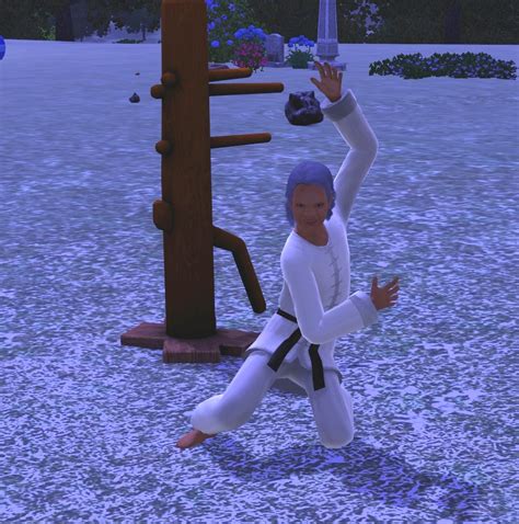A Sims 3 Through History Legacy Challenge Chapter 77 Martial Arts