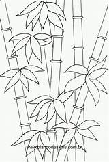 Bamboo Coloring Template Sketch sketch template