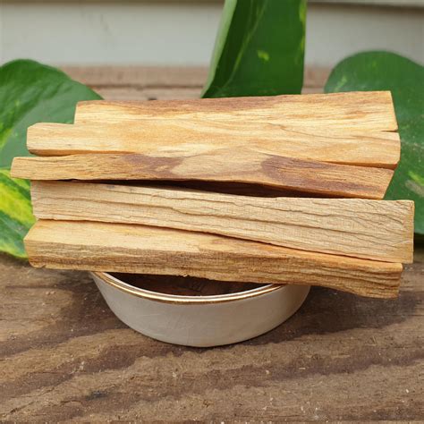 Palo Santo Peruvian Bursera Graveolens Natural Alchemy