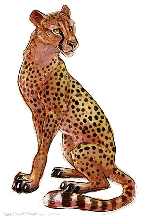 Cheetah Cheetah Fan Art Big Cats Art Furry Art Cat Art Animal