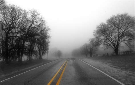 Foggy Morning Drive On Hwy 37 In Franklin County Mt Vernon Texas