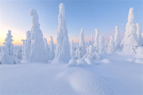 3 Reasons To Get To Finland And See Why The Saying ‘the Forest Is The
