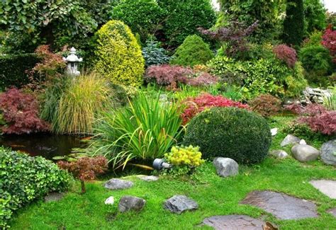 12 Traditional Japanese Garden Plants And Flowers Gardening Chores