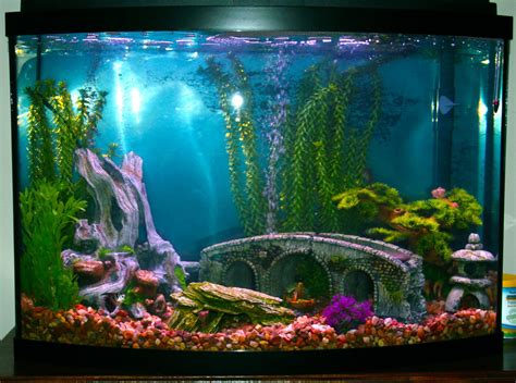 20 Decorating Fish Tank Ideas