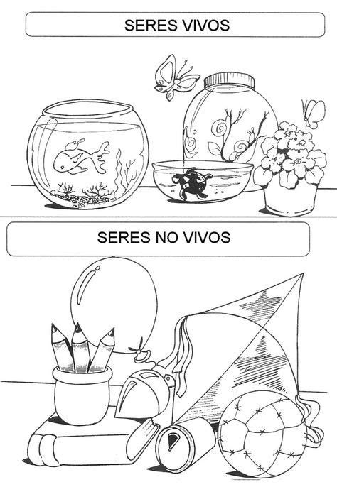 Las Mejores 16 Ideas De Vivos Y No Vivos Vivos Y No Vivos Seres