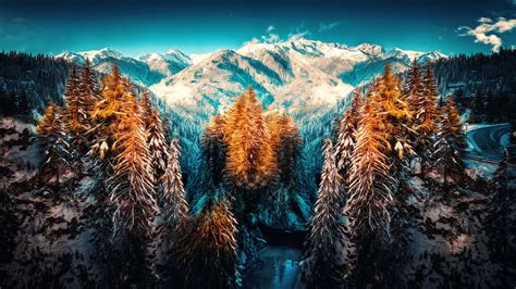 Snow Landscape Mountains Trees Forest 4k Hd Landscape Desktop