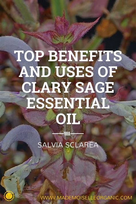 It loves to support healthy menstrual function. Top benefits and uses of Clary Sage Essential Oil