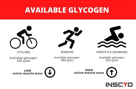 Muscle Glycogen And Exercise All You Need To Know Inscyd