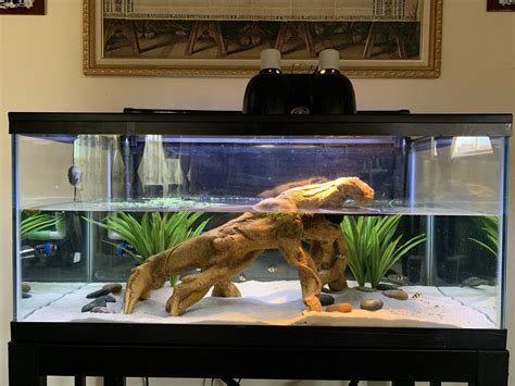 New 40 Gallon Turtle Tank Raquariums