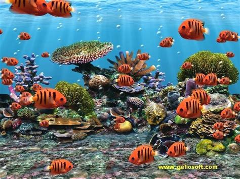 Screensaver Free Wallpaper Images Screensavers Free Aquarium