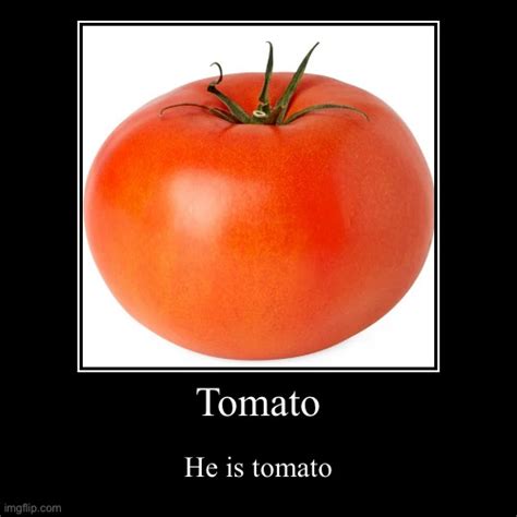 Tomato Imgflip