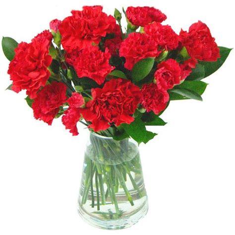Red Carnations Send Flowers Free Delivery