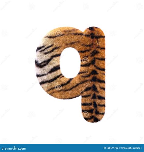 Tiger Letter Q Lower Case 3d Feline Fur Font Suitable For Safari