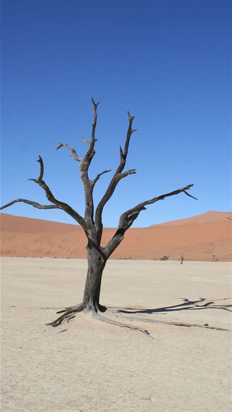 Namib Desert Iphone Wallpapers Free Download