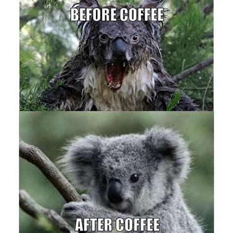 How i expect to feel after a nap: BEFORE COFFEE AFTER COFFEE - Memerial.net