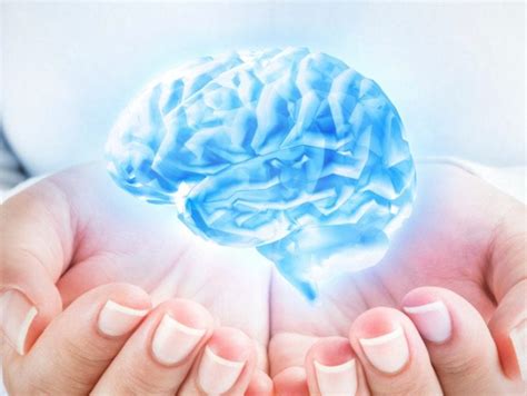 ¿qué Es La Gimnasia Cerebral Mejora Tu Memoria Wemystic