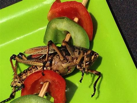 8 Edible Bugs That Could Help You Survive Eat Tomorrow Blog