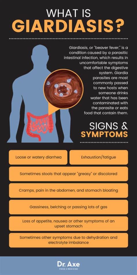 Giardiasis Prevention 4 Natural Treatments For Giardia Infection Dr