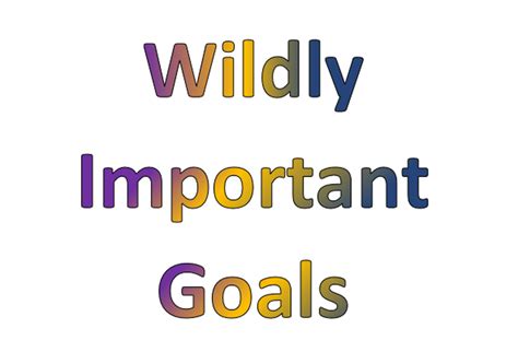 Wildly Important Goals Wigs St Martinville Primary School