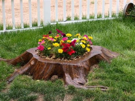 13 Attractive Things To Do With Reusing The Old Tree Stumps
